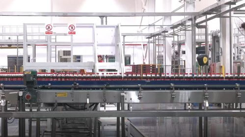 數(shù)實(shí)相融 算啟未來 中糧可口可樂 插上 數(shù)智羽翼 推動(dòng)企業(yè)發(fā)展